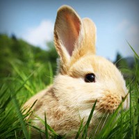 /album/hocam-bi-sn/photolia-a03-jpg/