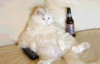 /album/hocam-bi-sn/indir-jpg/