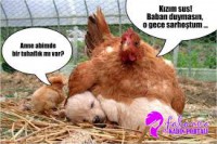 /album/hocam-bi-sn/susk%c4%b1z-jpg/